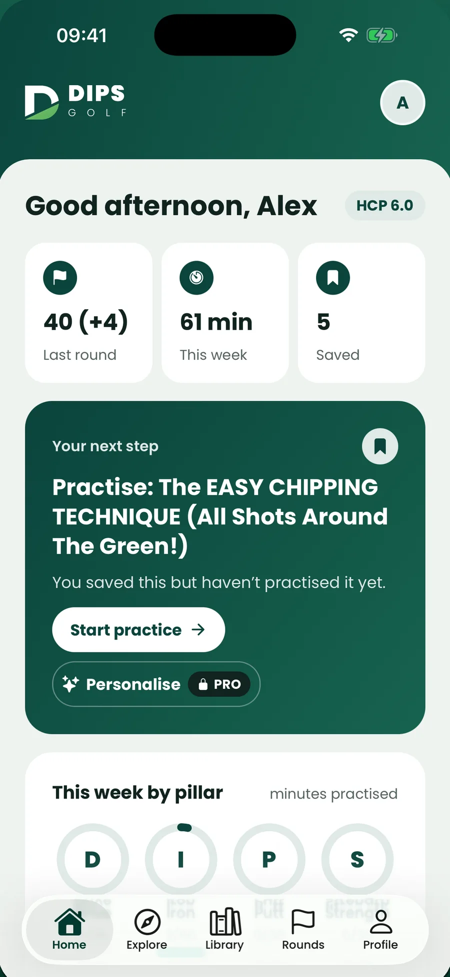 DIPS Golf: A personal golf improvement system.